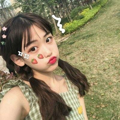飞蛾日记