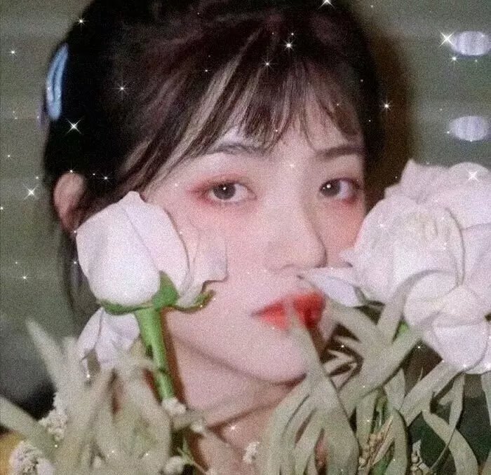 腌黄瓜先生第二季
