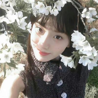 七人乐队粤语